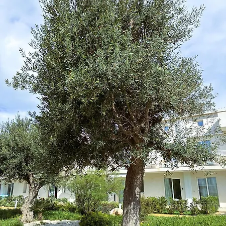 Apartment Marzamare - Borgo 84